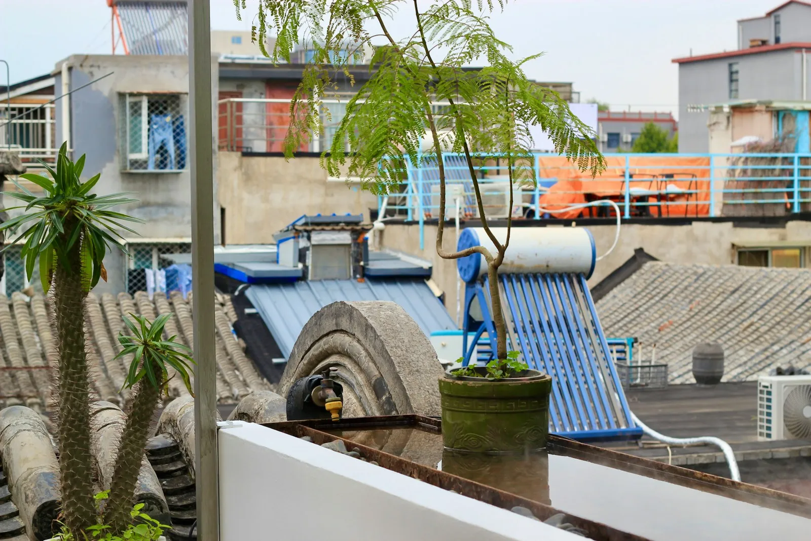 Zonneboiler in Rotterdam: Kosten, Subsidie en Besparing 2026